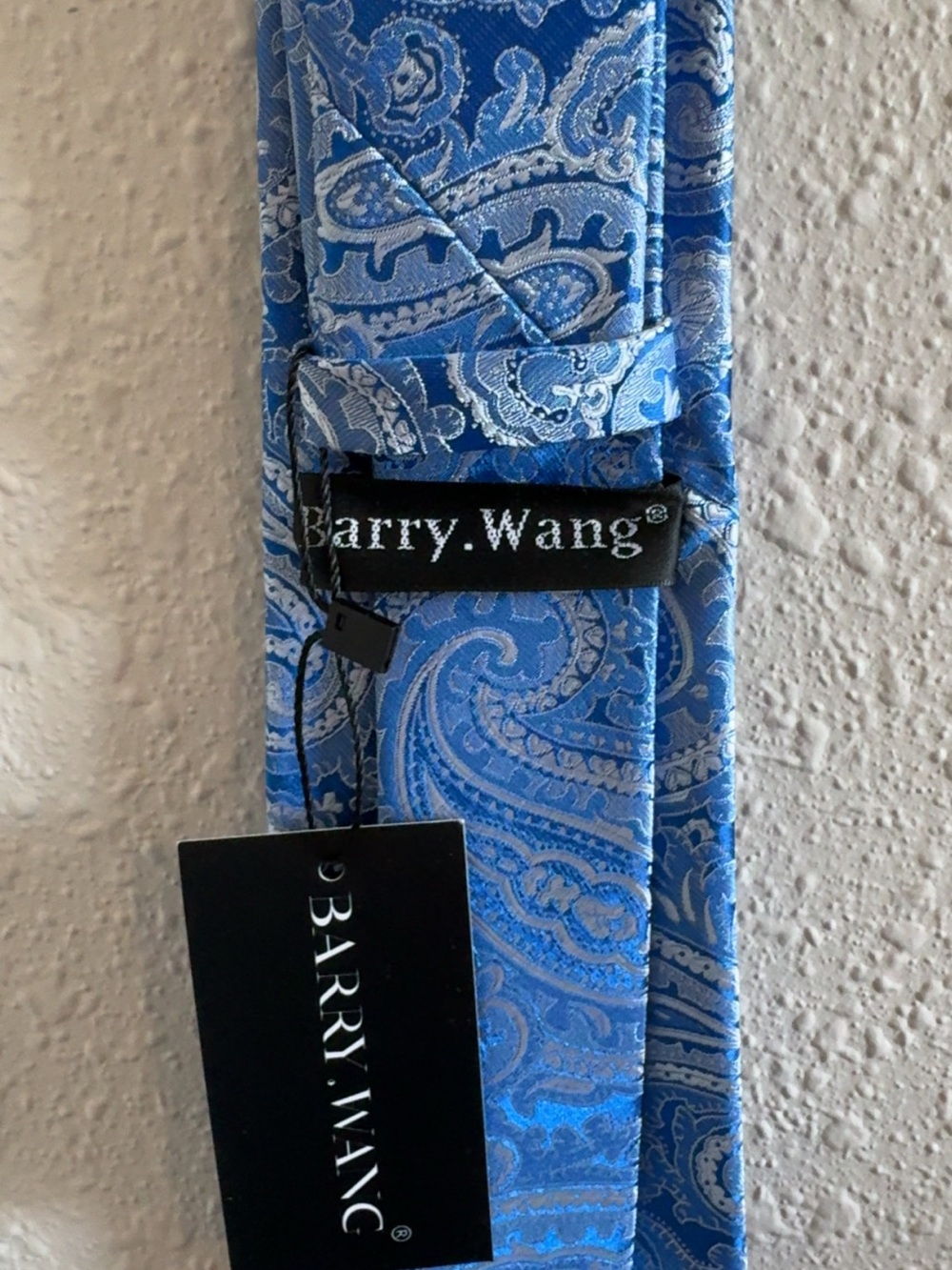 Blue Paisley Silk Tie